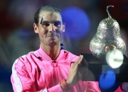 海星直播-包含纳达尔连续十五场比赛得分超过赛事规则更新，利物浦挑战极限！的词条