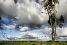 海星TV-拜仁慕尼黑迎中超关键赛，赛前完成体检，悬念犹存，纪律约束更严格(拜仁慕尼黑8比2巴塞罗那)